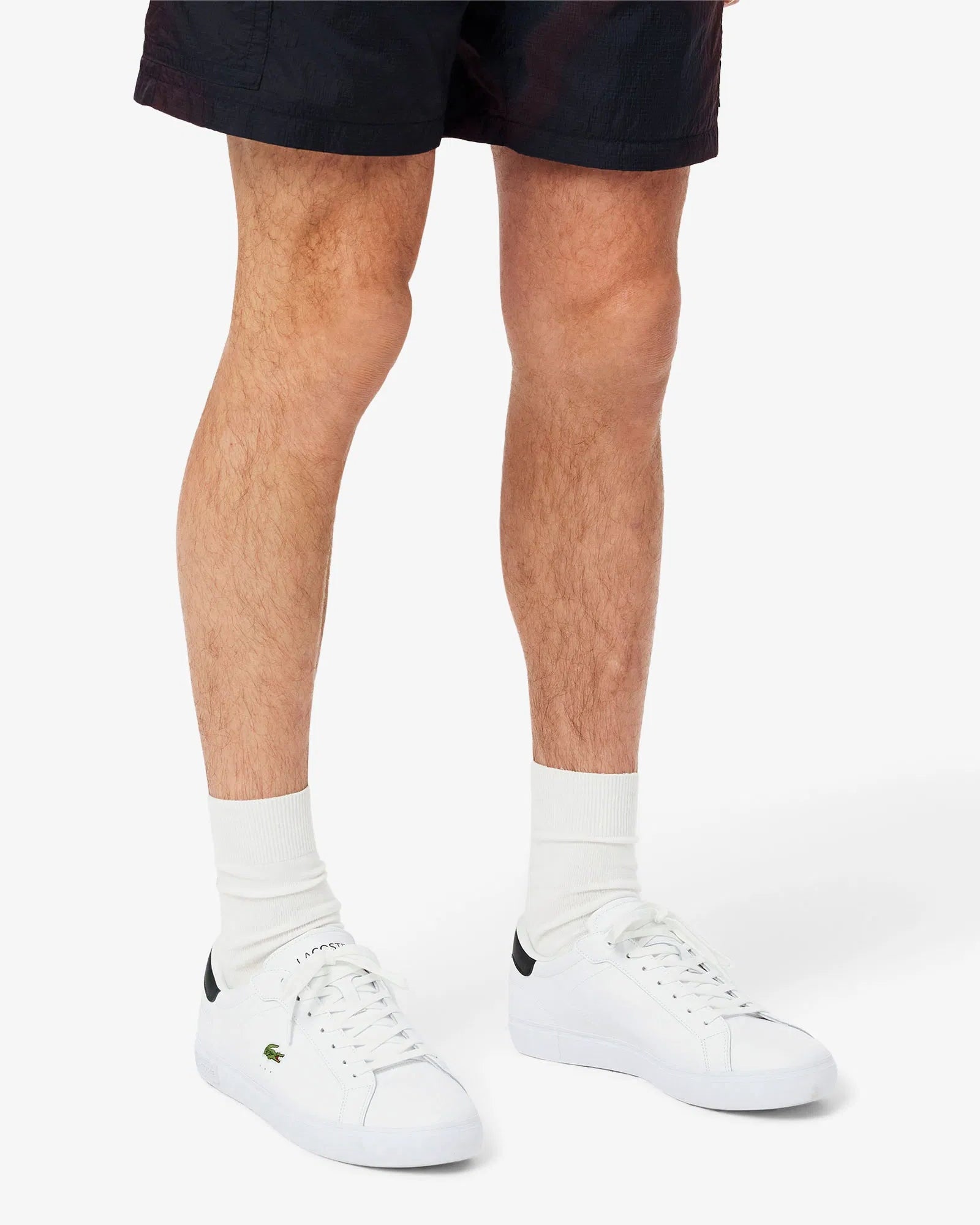 Lacoste Powercourt Branco/Verde Lacoste