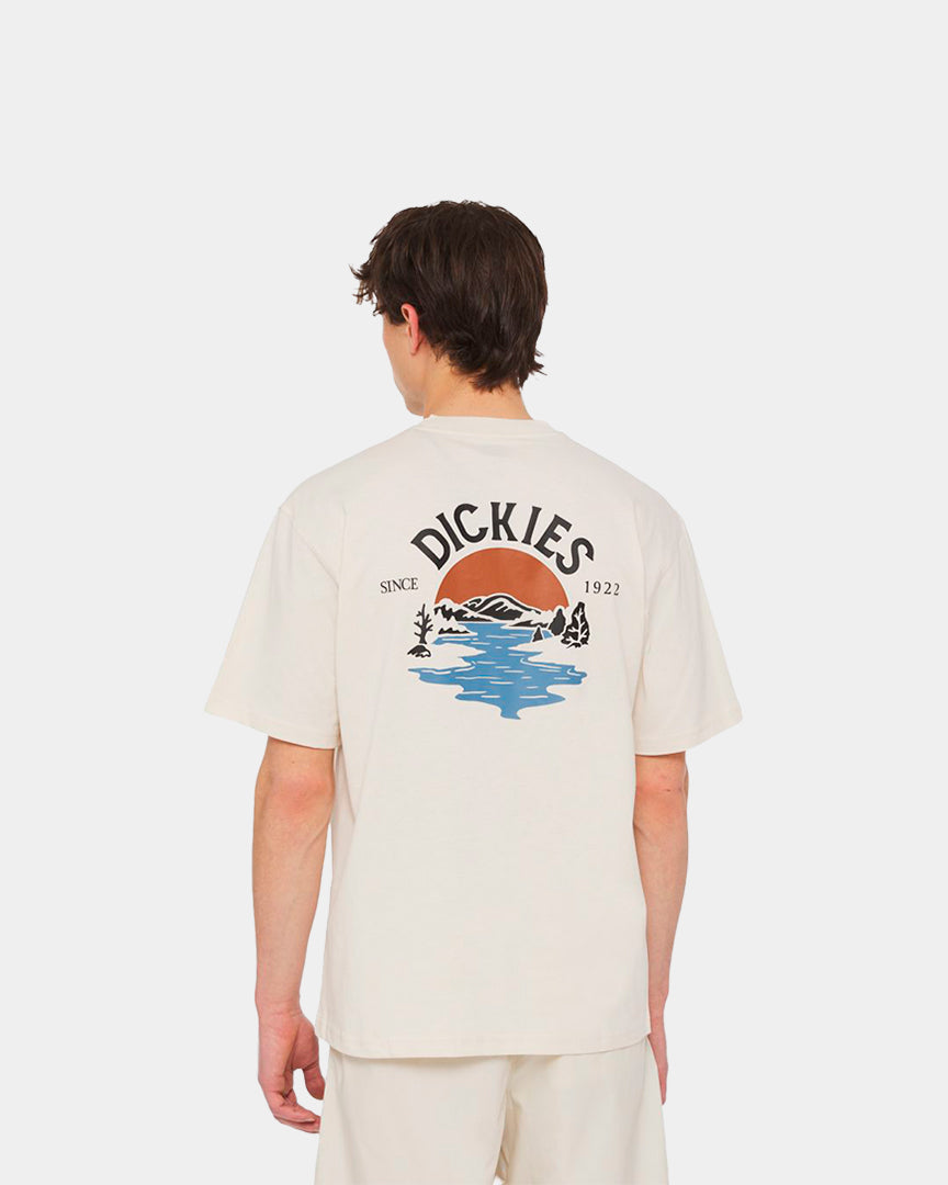 Dickies T-Shirt Beach Bege  DK0A4YRDF901