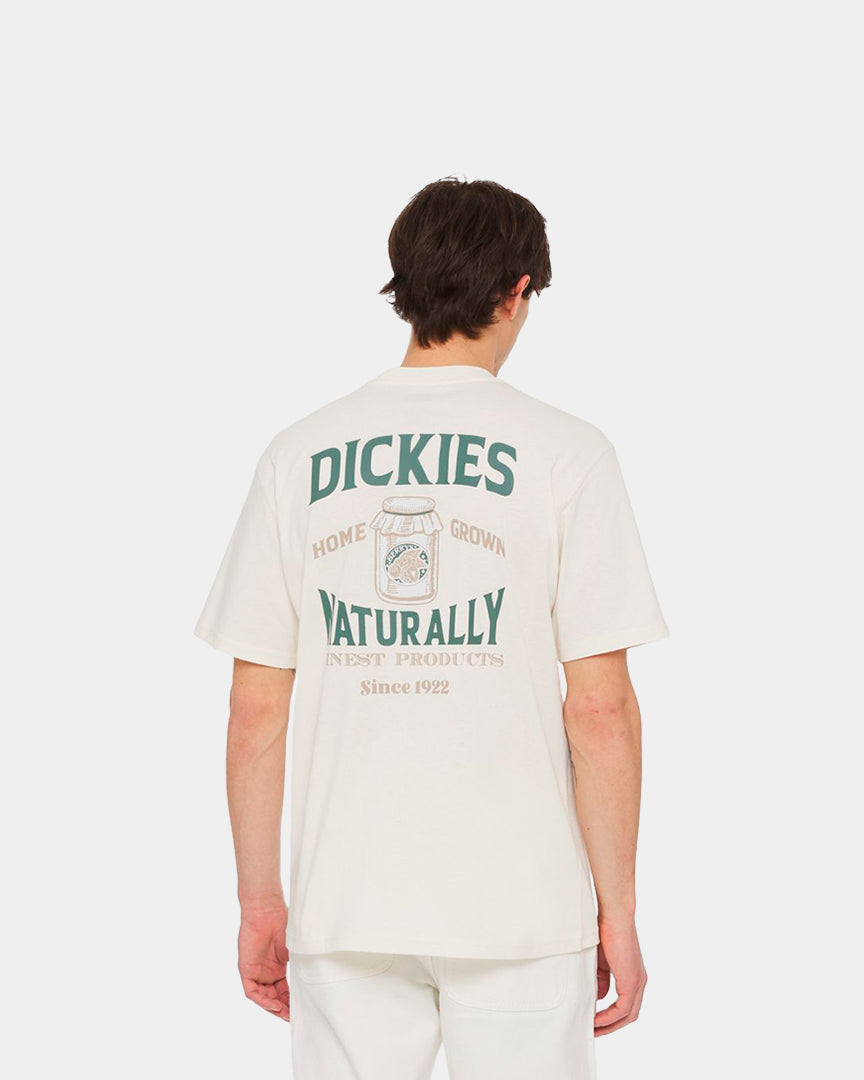 Dickies T-Shirt Elliston Branca DK0A4YRMC58
