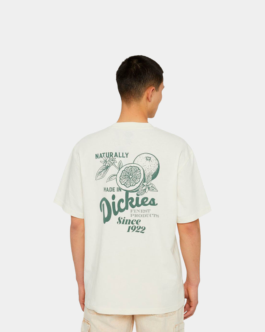 Dickies Raven T-Shirt Branca DK0A4YYMC581