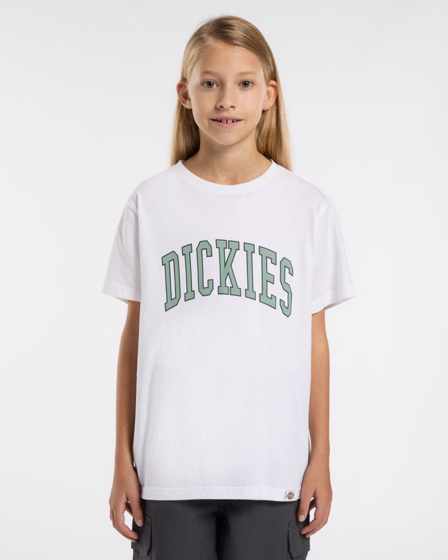 Dickies T-Shirt Jr Aitkin Branca Dickies