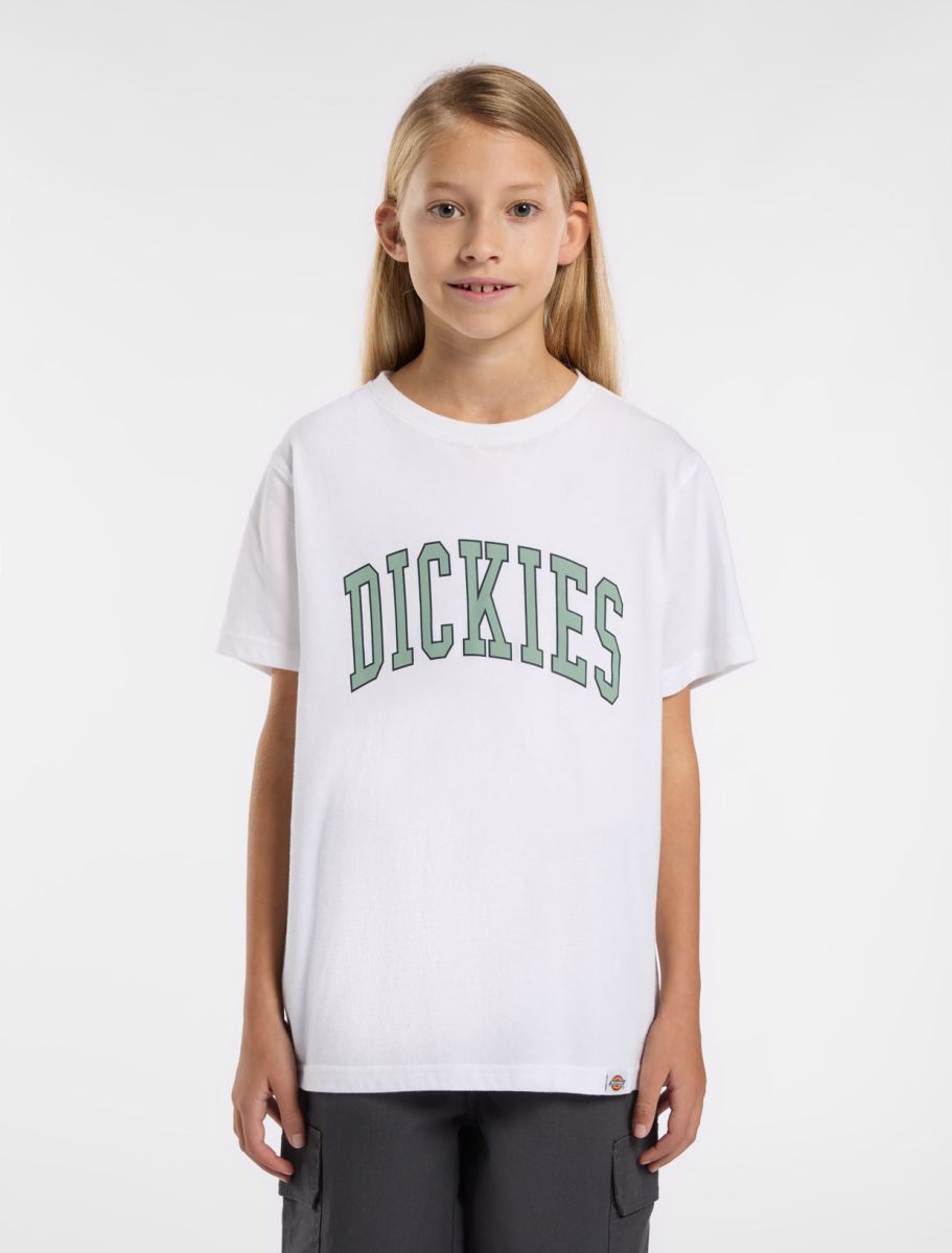 Dickies T-Shirt Jr Aitkin Branca Dickies