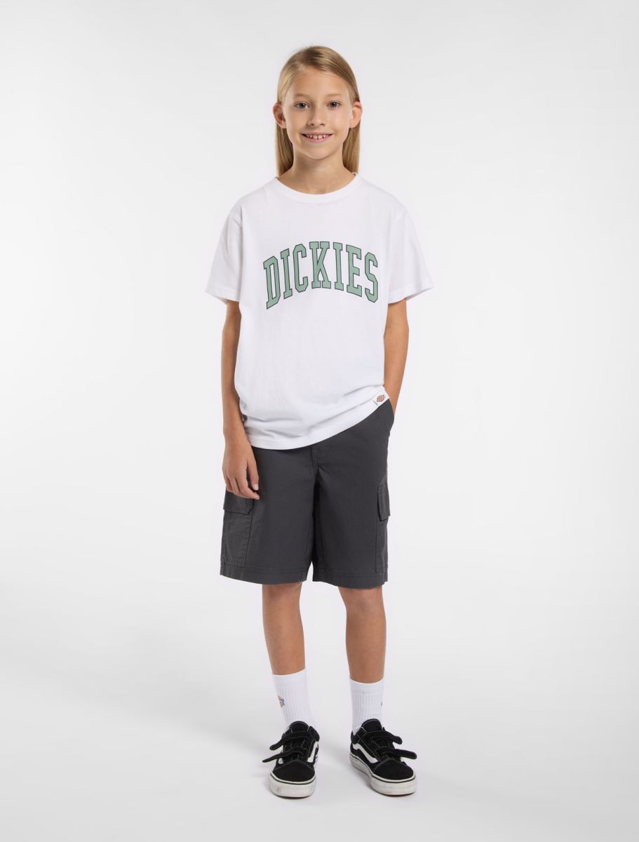 Dickies T-Shirt Jr Aitkin Branca Dickies
