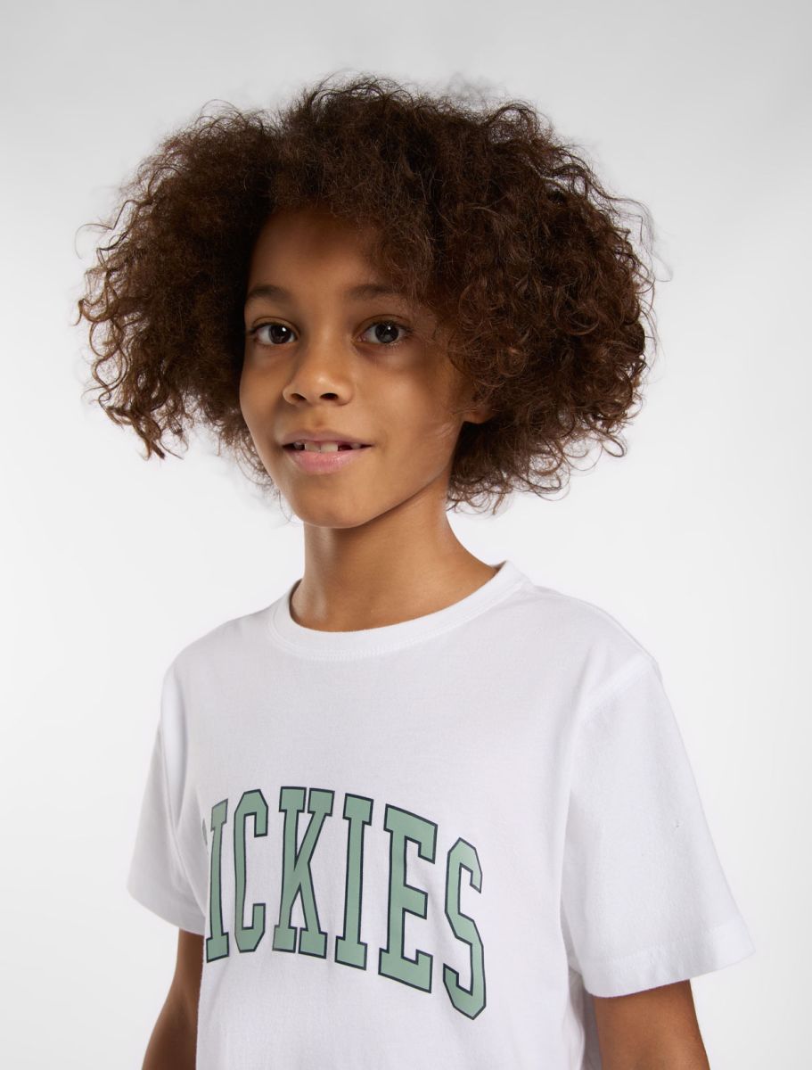 Dickies T-Shirt Jr Aitkin Branca Dickies