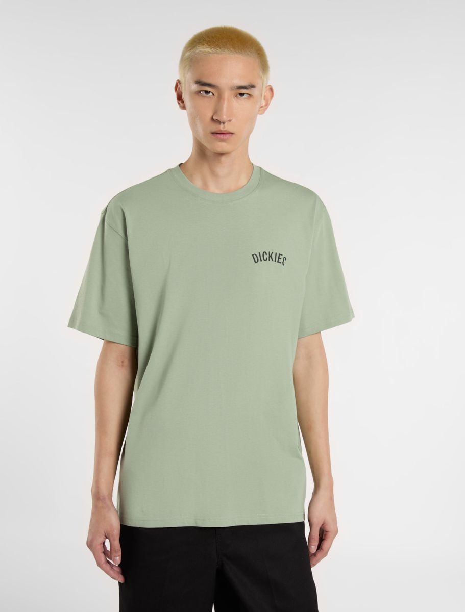 Dickies T-Shirt Snake Verde Dickies