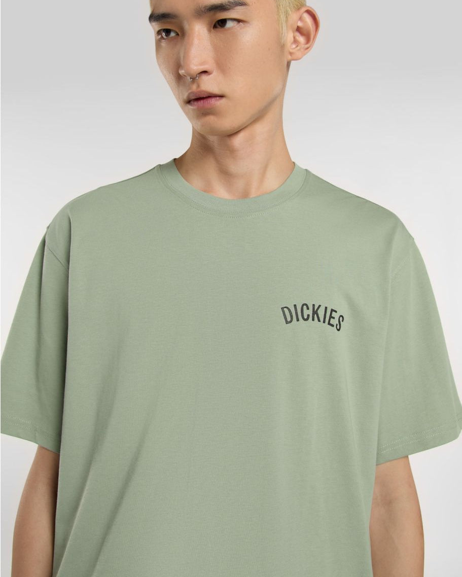 Dickies T-Shirt Snake Verde Dickies