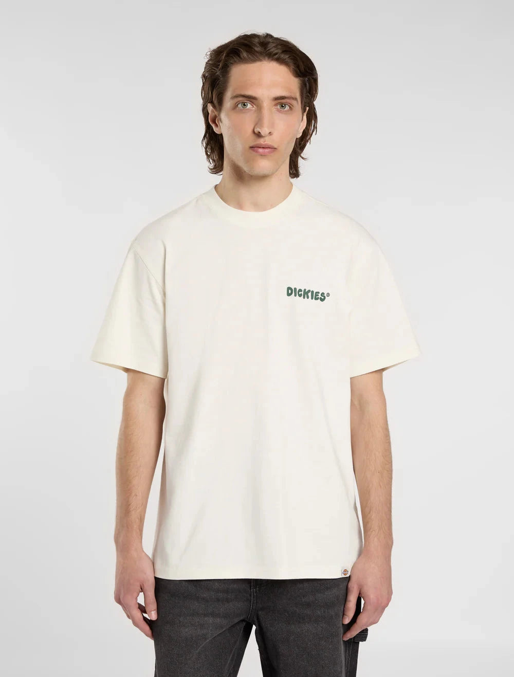 Dickies T-Shirt Gordonsville Bege/Verde Dickies