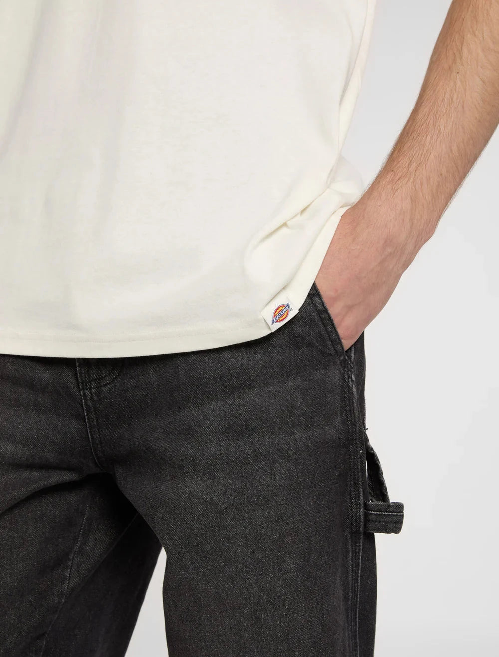 Dickies T-Shirt Gordonsville Bege/Verde Dickies