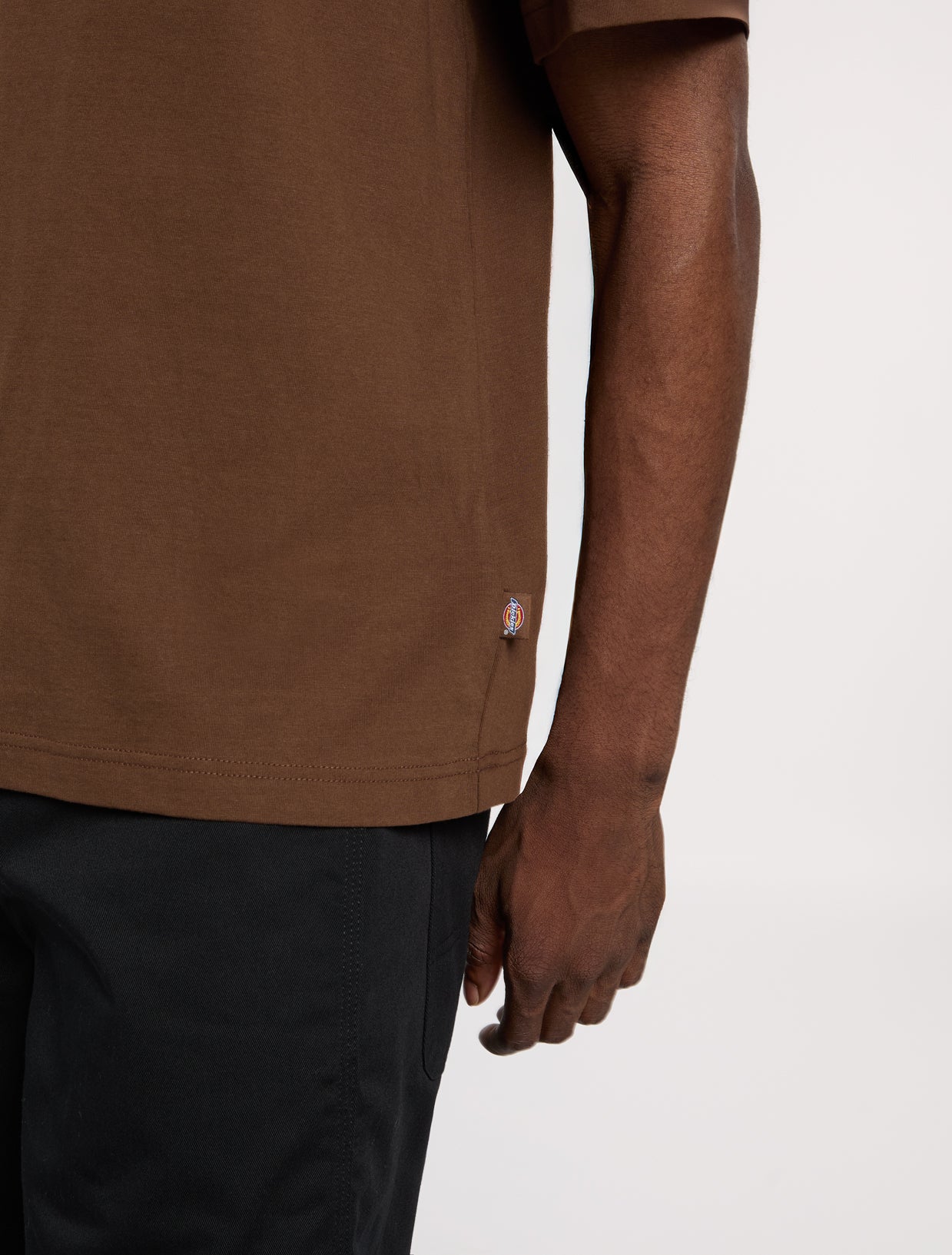 T-shirt Dickies Torrey Castanha Dickies