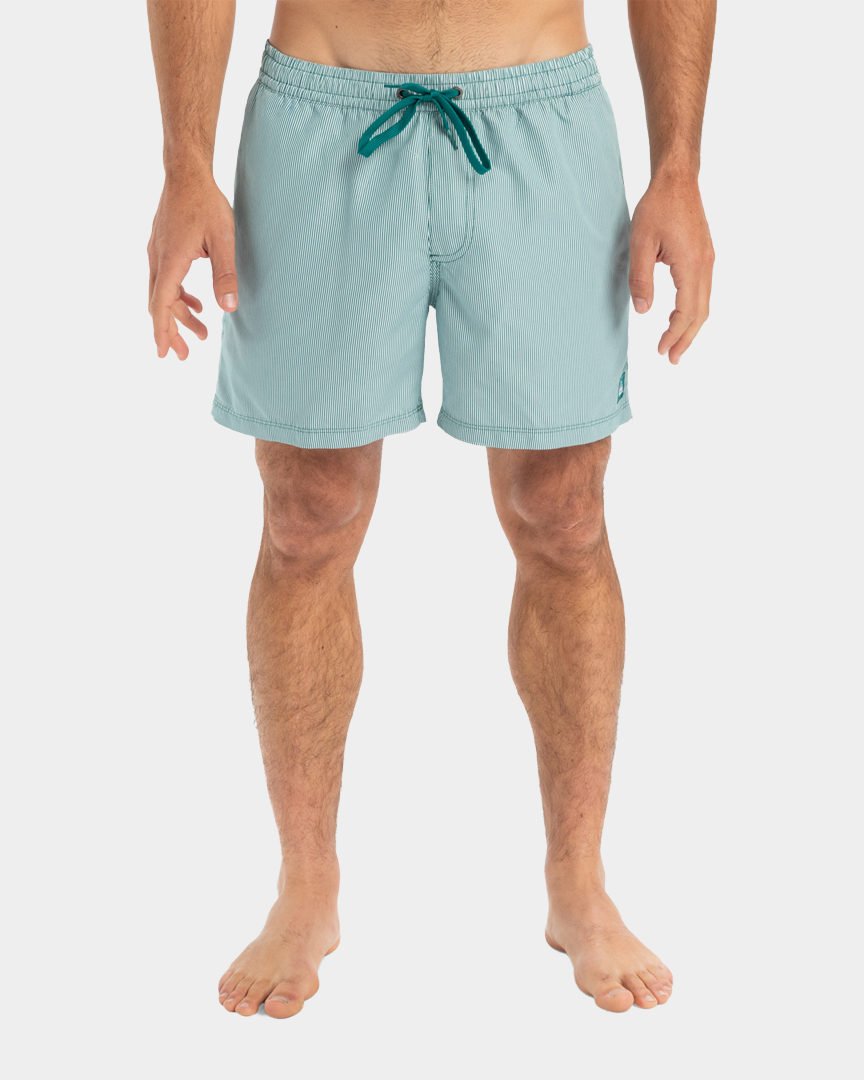 Quiksilver Calções Everyday Deluxe Verdes EQYJV04101BSJ0