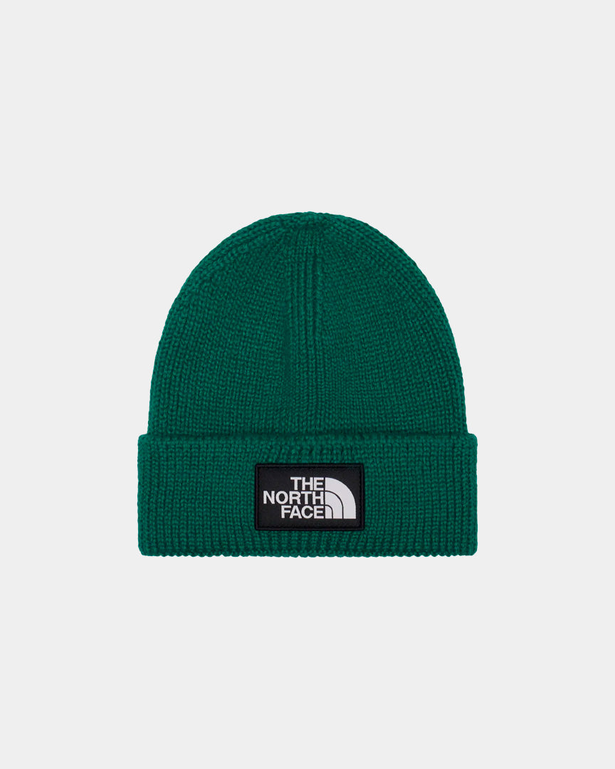 Gorro The North Face Logo Box Verde