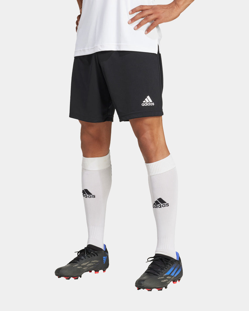 Adidas Calções de Treino Ent22 Pretos H57504