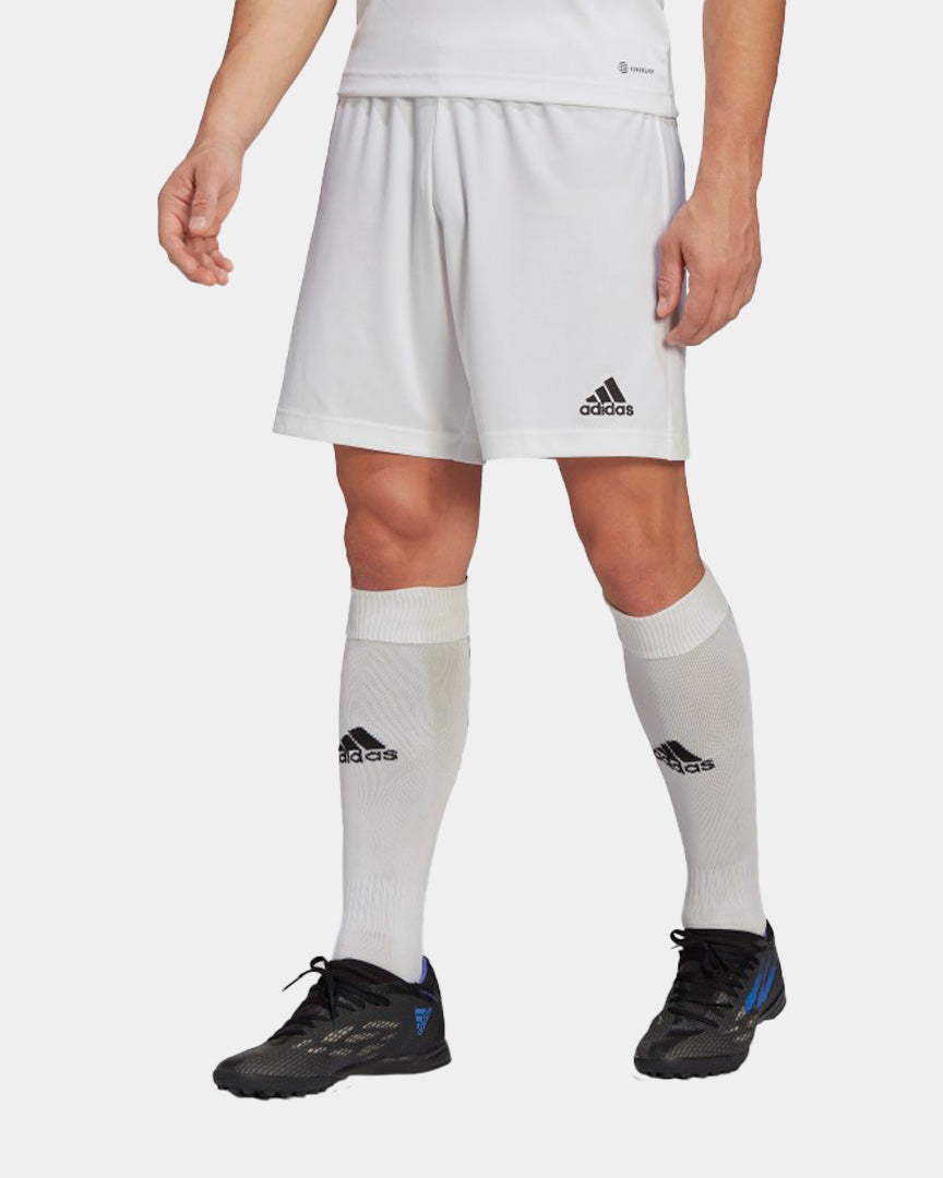 Adidas Calções Entrada 22 Branco HG6295
