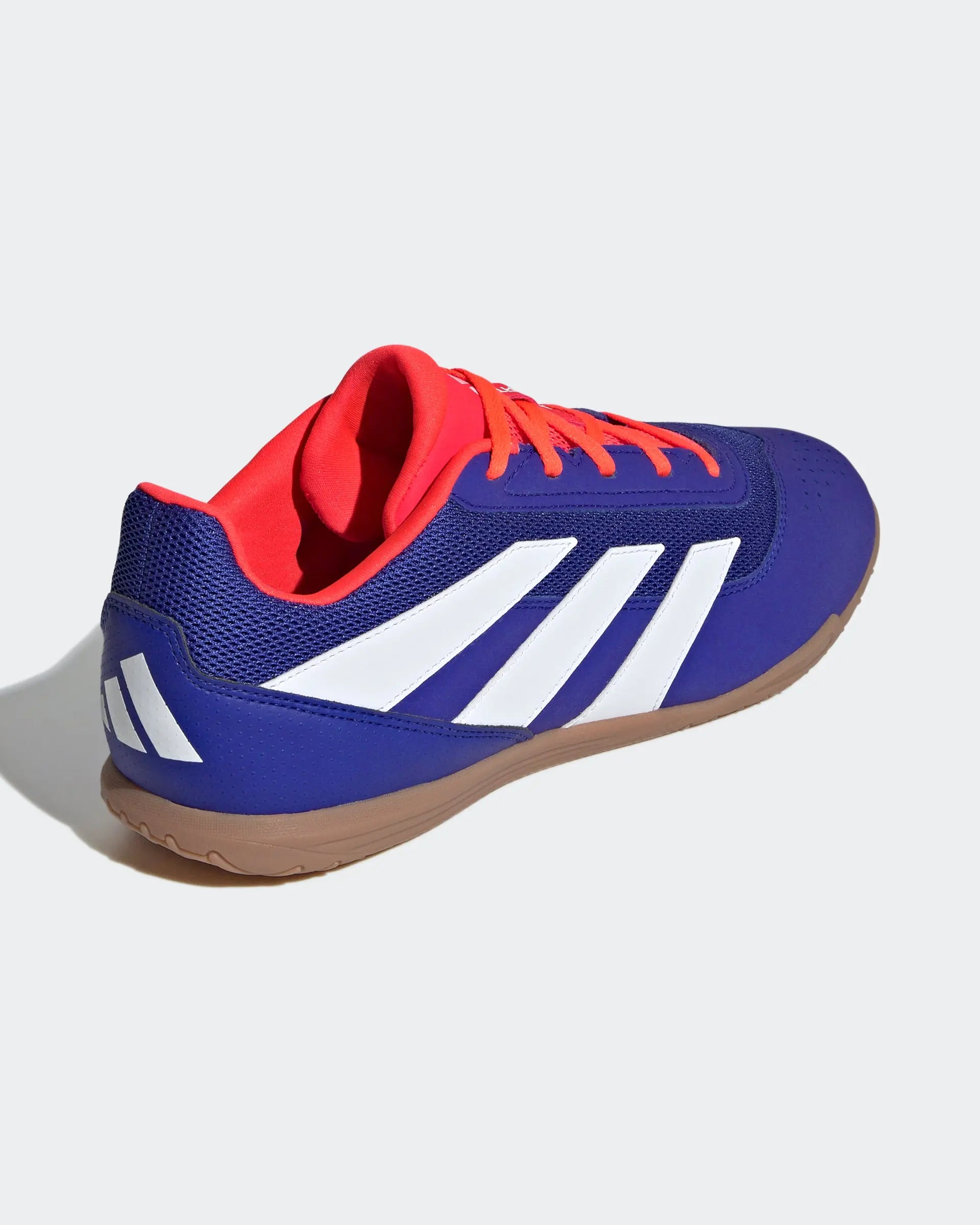 Adidas Predator Club IN Sala Azul Adidas