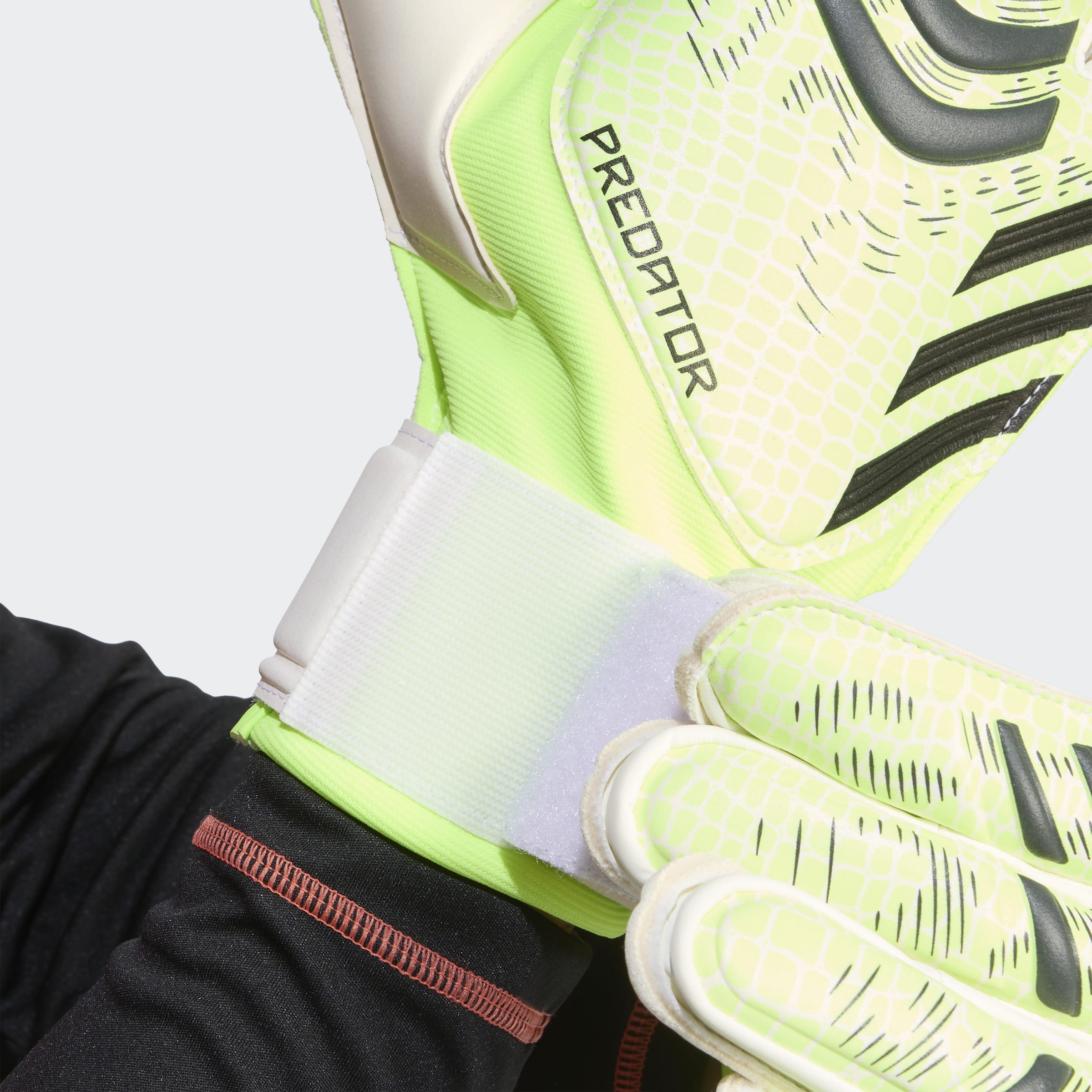 Adidas Luvas de Guarda-redes Match Predator Verde Adidas