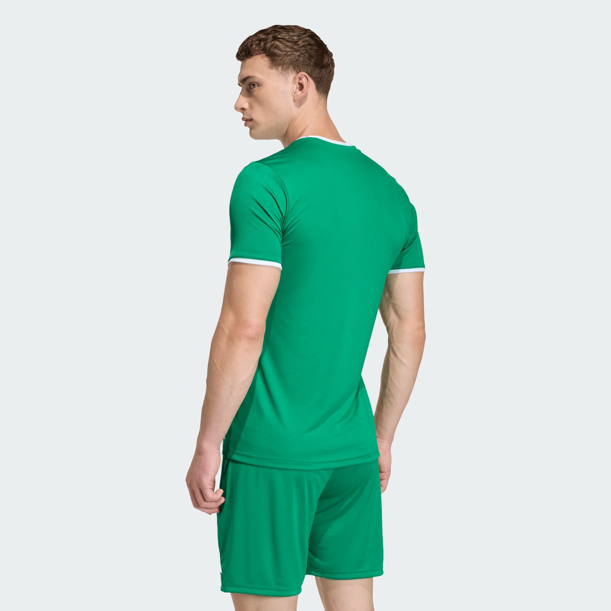 T-shirt de Treino Homem Adidas Ent26 Verde Adidas