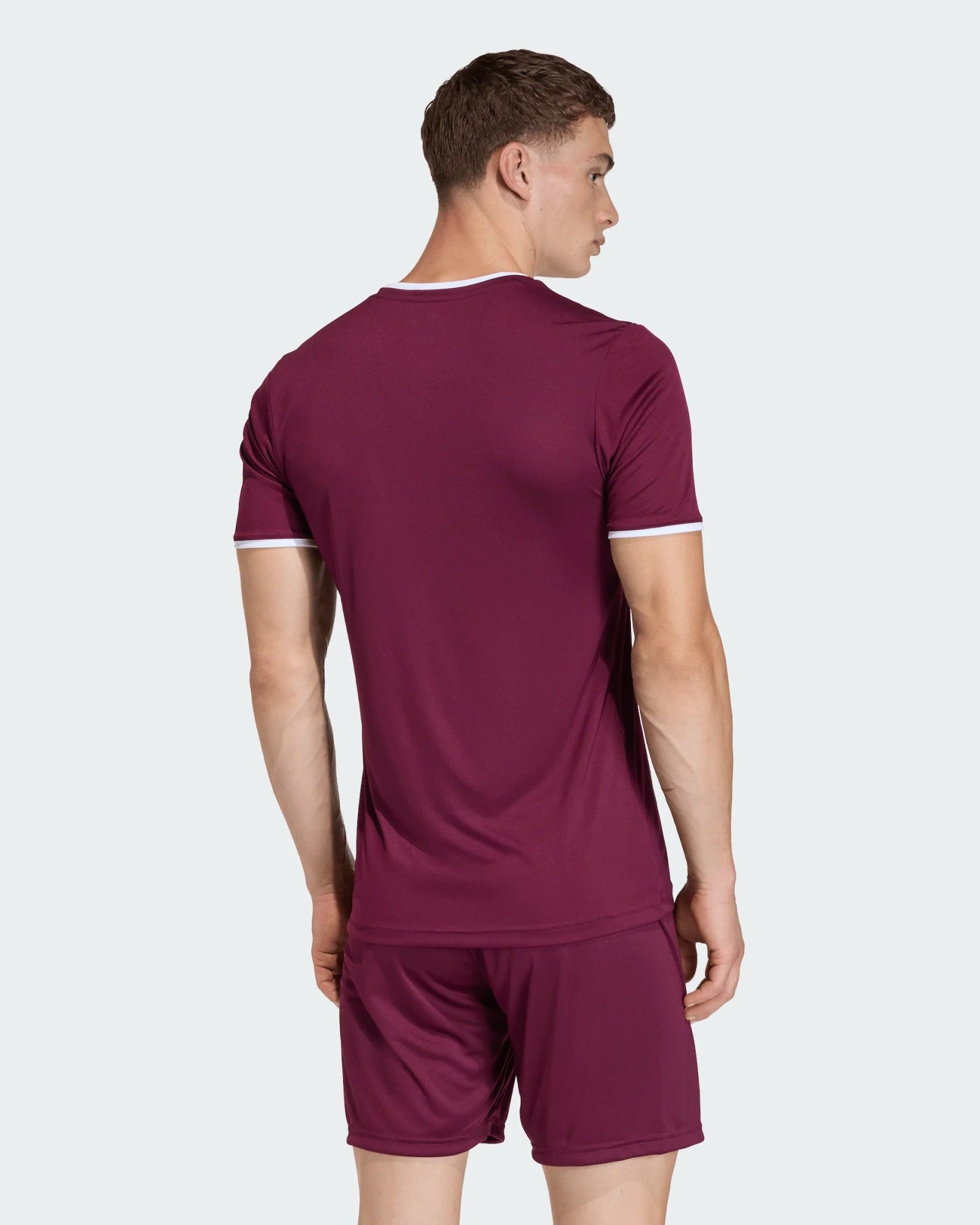 T-shirt de Treino Homem Adidas Ent26 Bordô Adidas