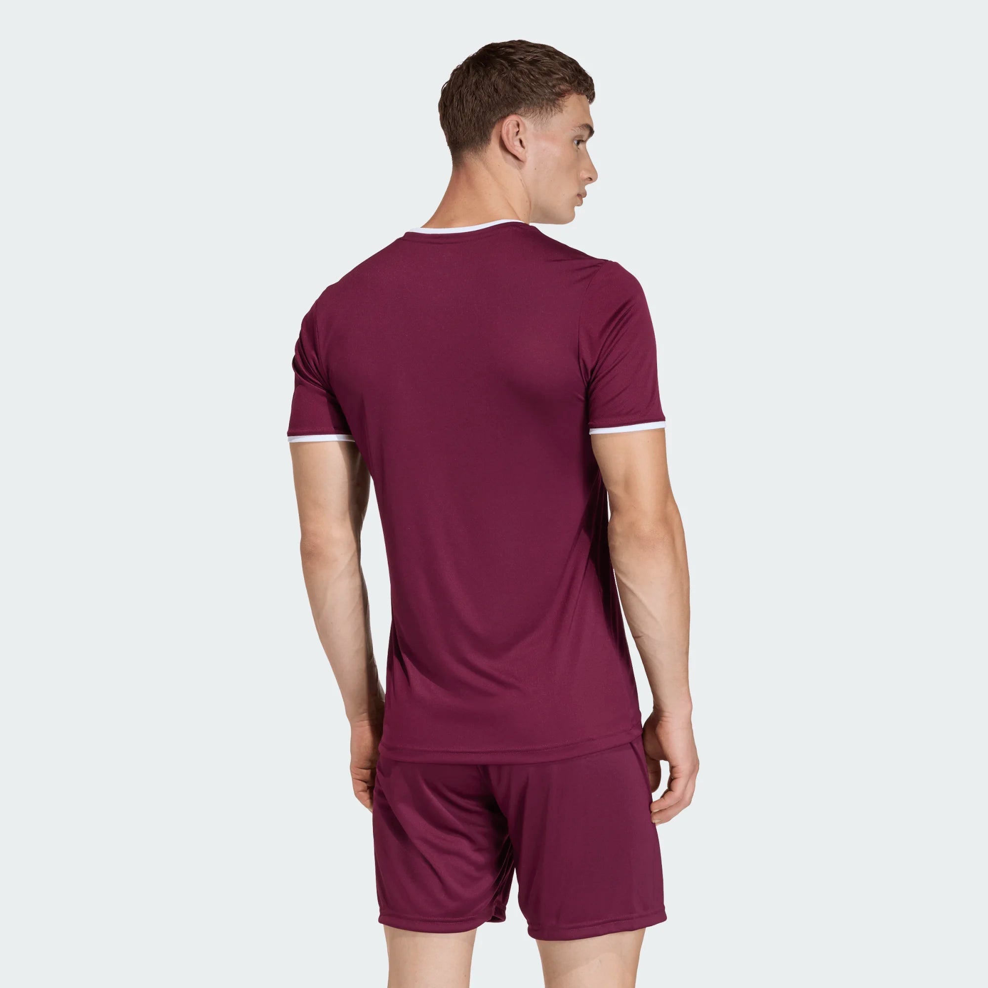 T-shirt de Treino Homem Adidas Ent26 Bordô Adidas
