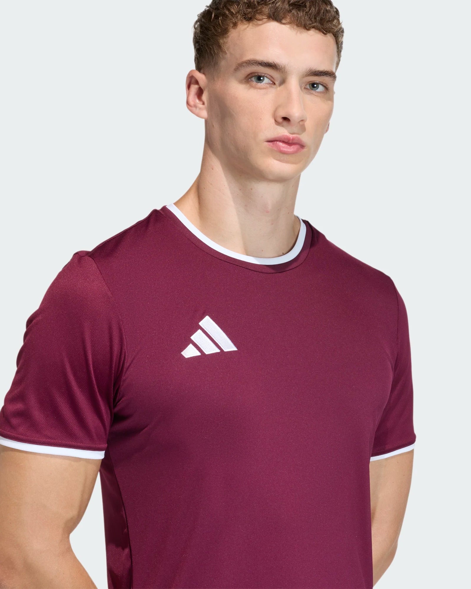 T-shirt de Treino Homem Adidas Ent26 Bordô Adidas