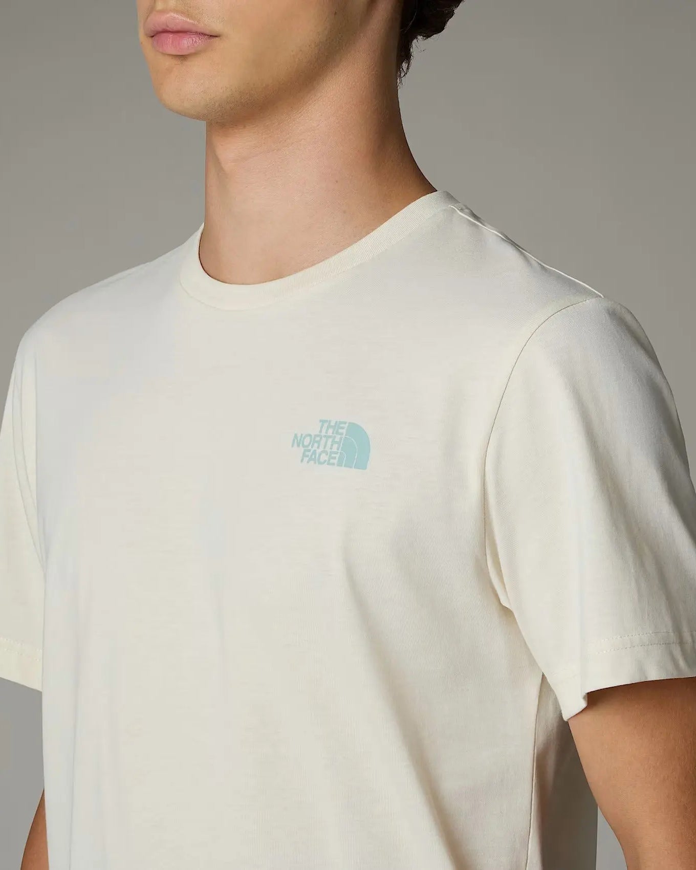 T-Shirt The North Face RedBox Homem Bege