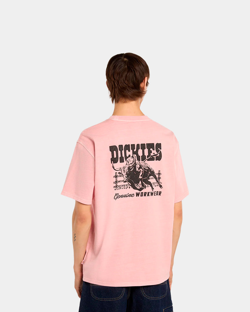 T-shirt Homem Dickies Buchtell Rosa