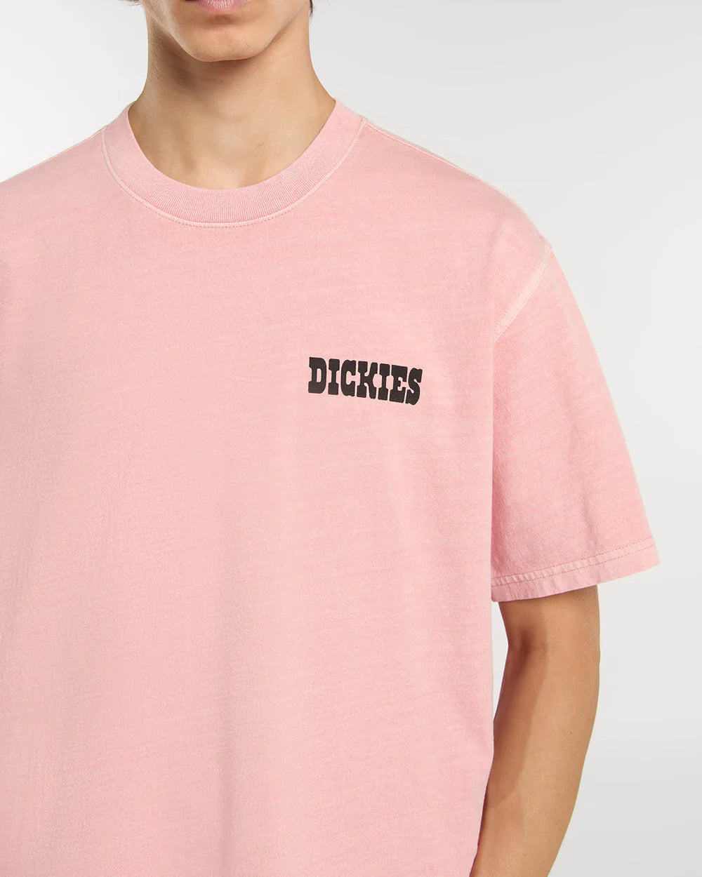 T-shirt Homem Dickies Buchtell Rosa Dickies