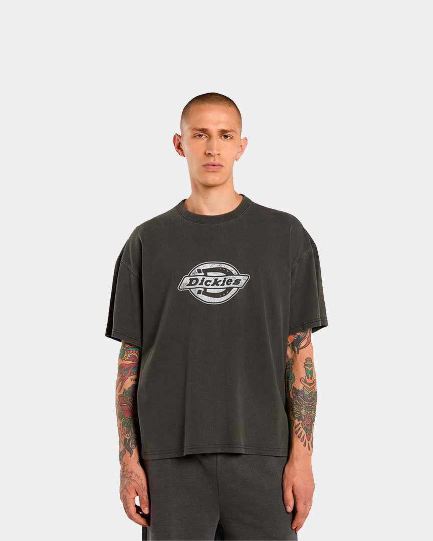 T-shirt Homem Dickies Plainville Cinza Dickies