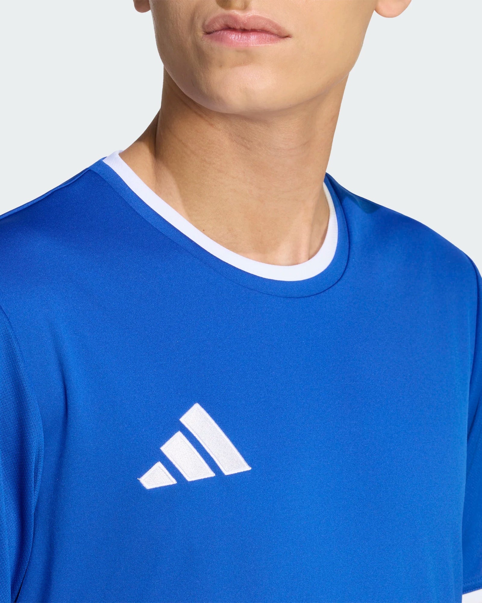 T-shirt de Treino Homem Adidas Ent26 Azul Adidas
