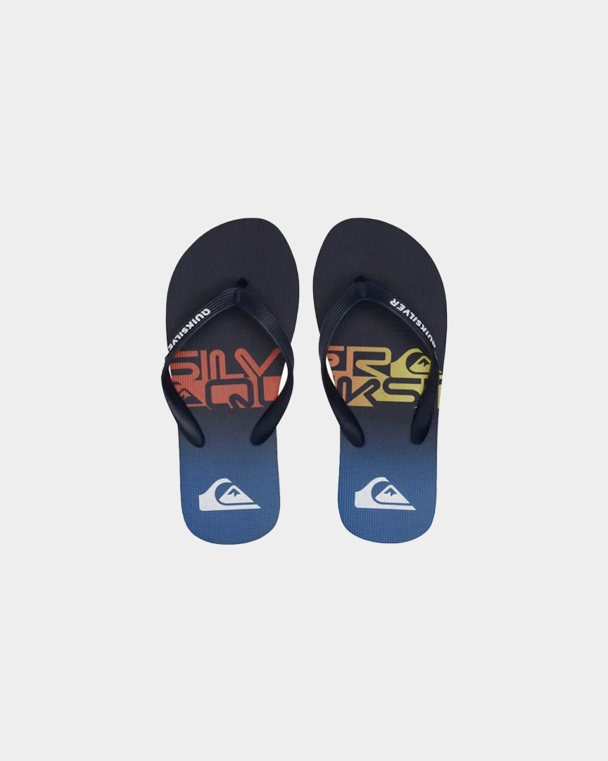 Quiksilver Molokai Art Youth Azul Quiksilver