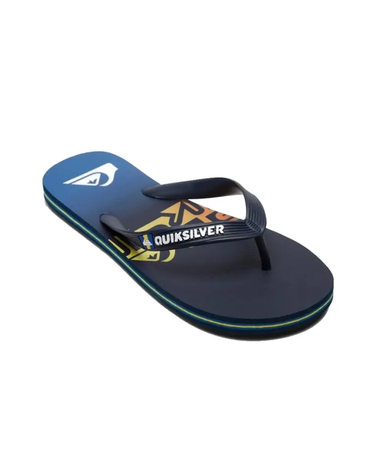 Quiksilver Molokai Art Youth Azul Quiksilver