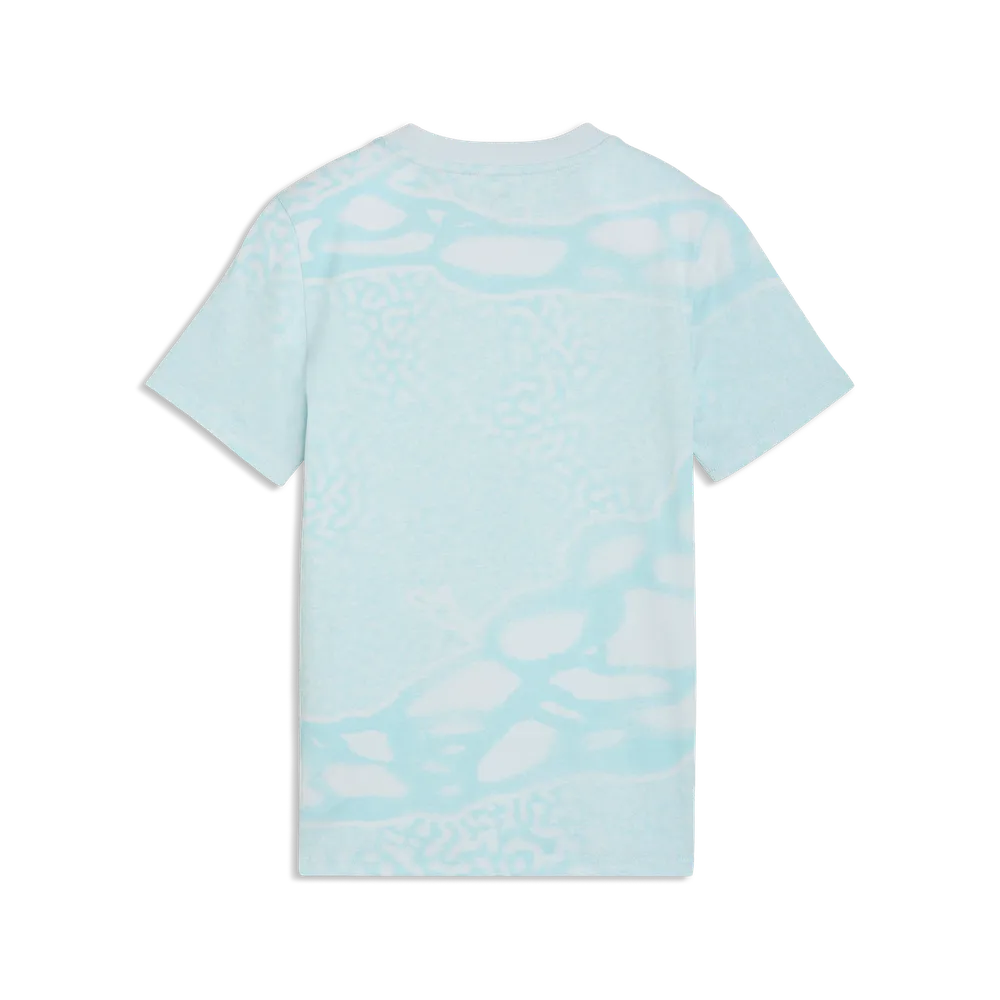 T-shirt Criança Puma Portugal FPF Culture 26 Azul Puma