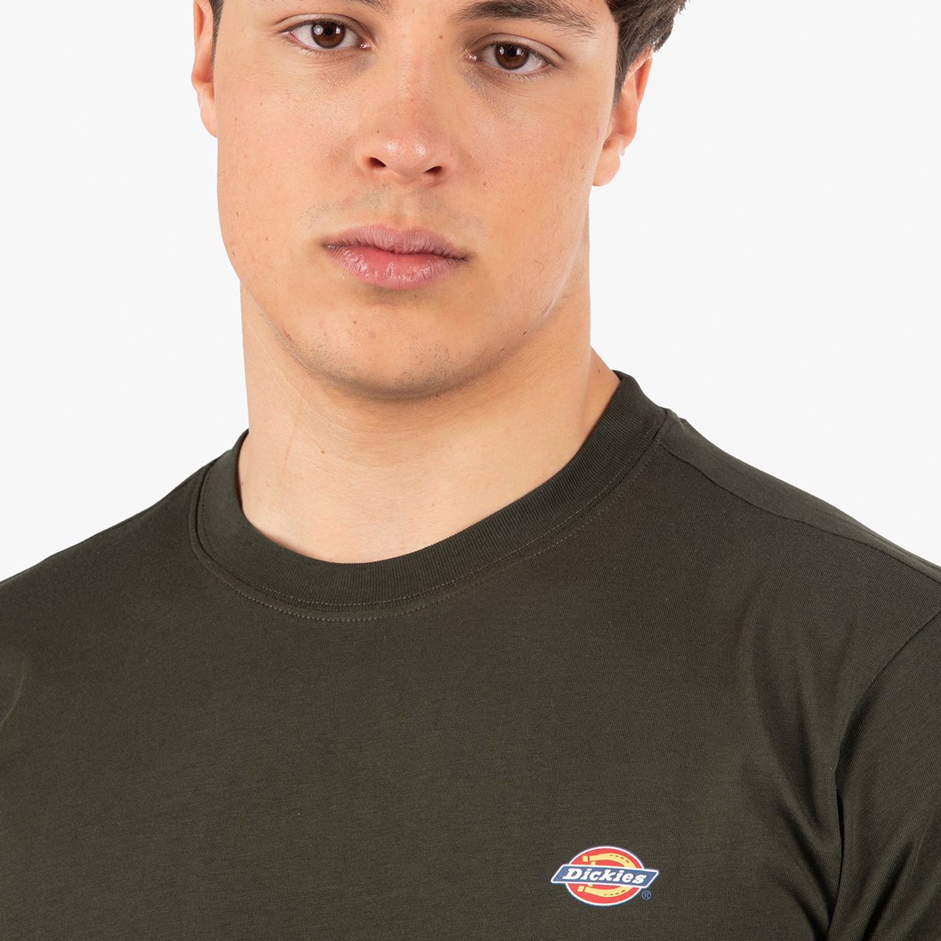 Dickies Mapleton T-Shirt Verde Dickies
