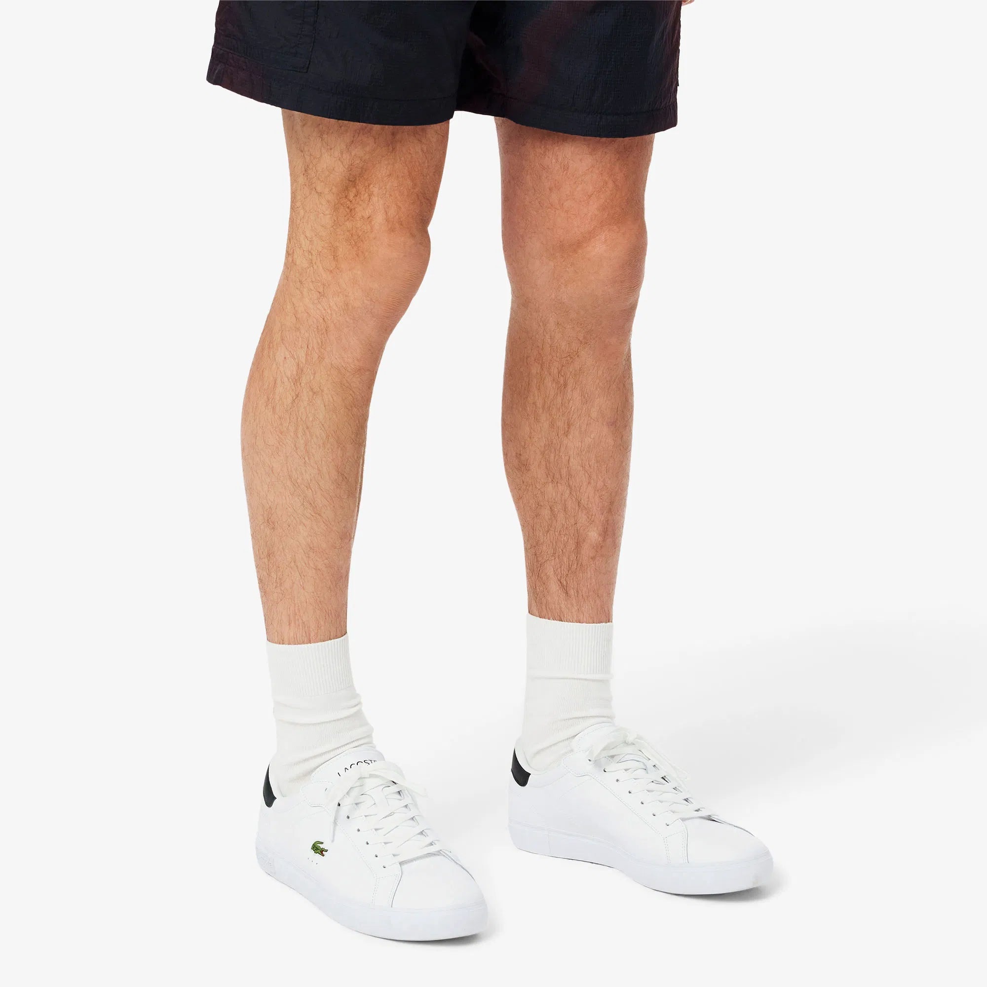 Lacoste Powercourt Branco/Verde Lacoste 