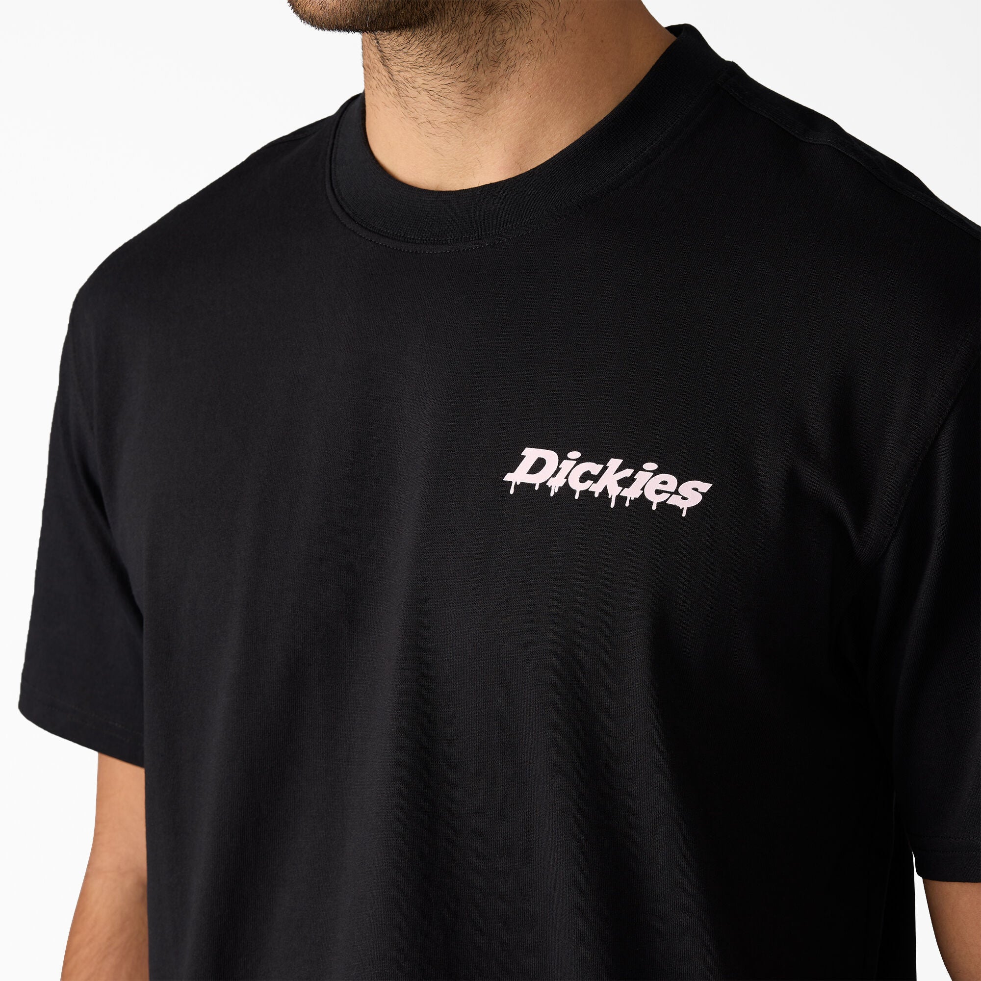 Dickies T-Shirt Statesville Preta Dickies 
