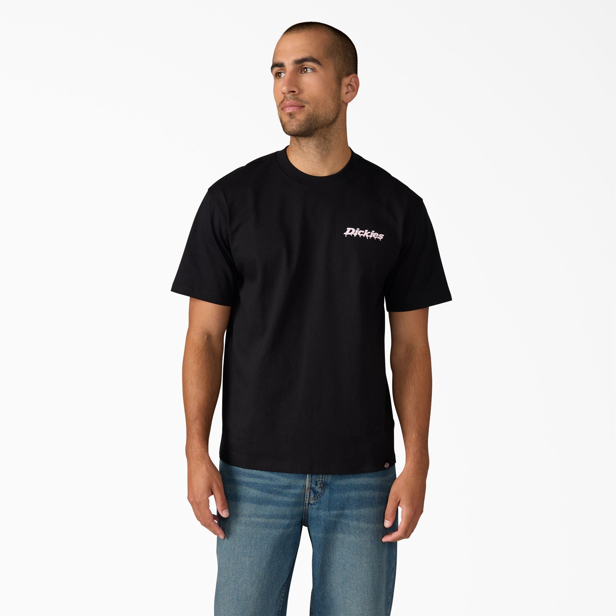 Dickies T-Shirt Statesville Preta Dickies 