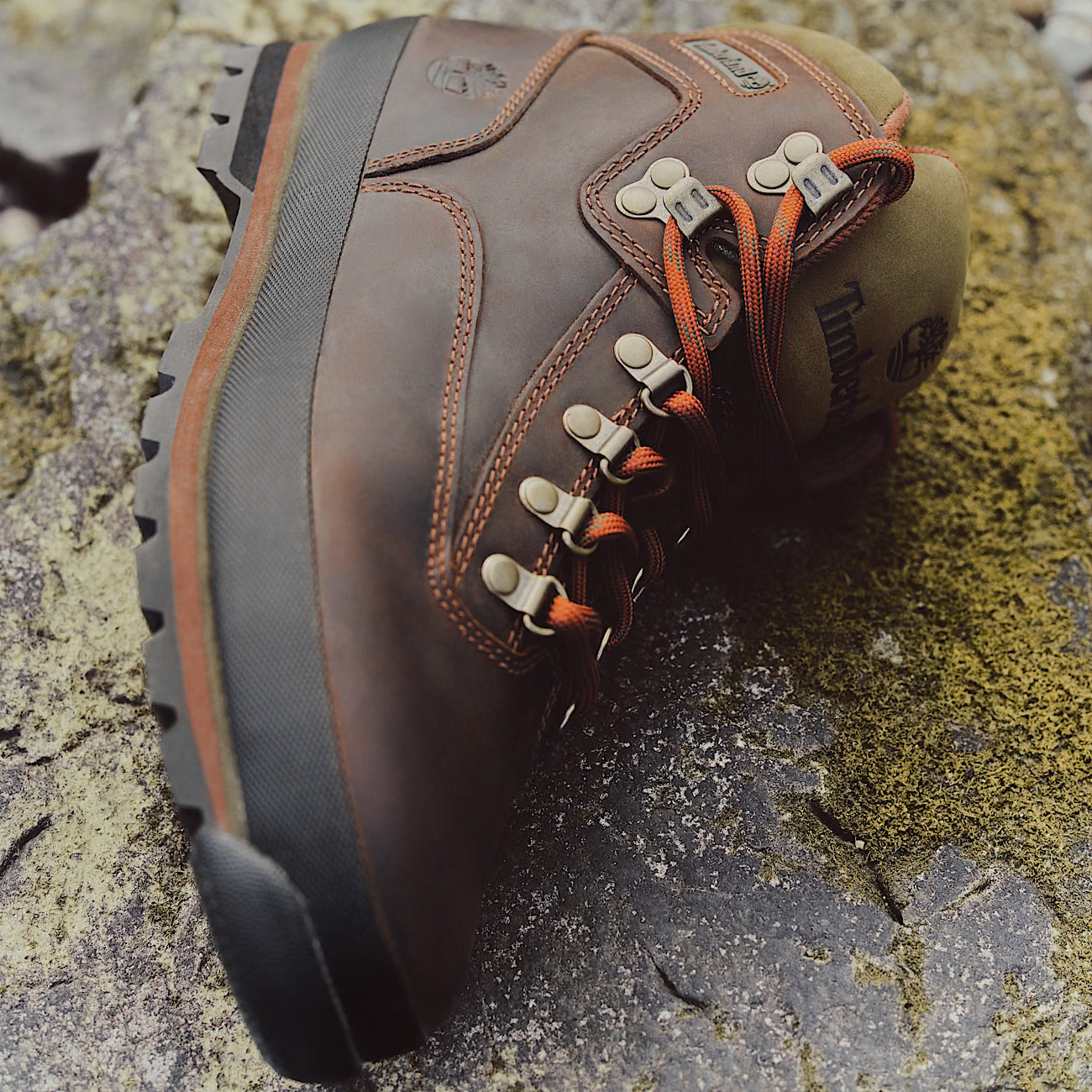 Bota Homem Timberland Euro Hiker Castanho Timberland 