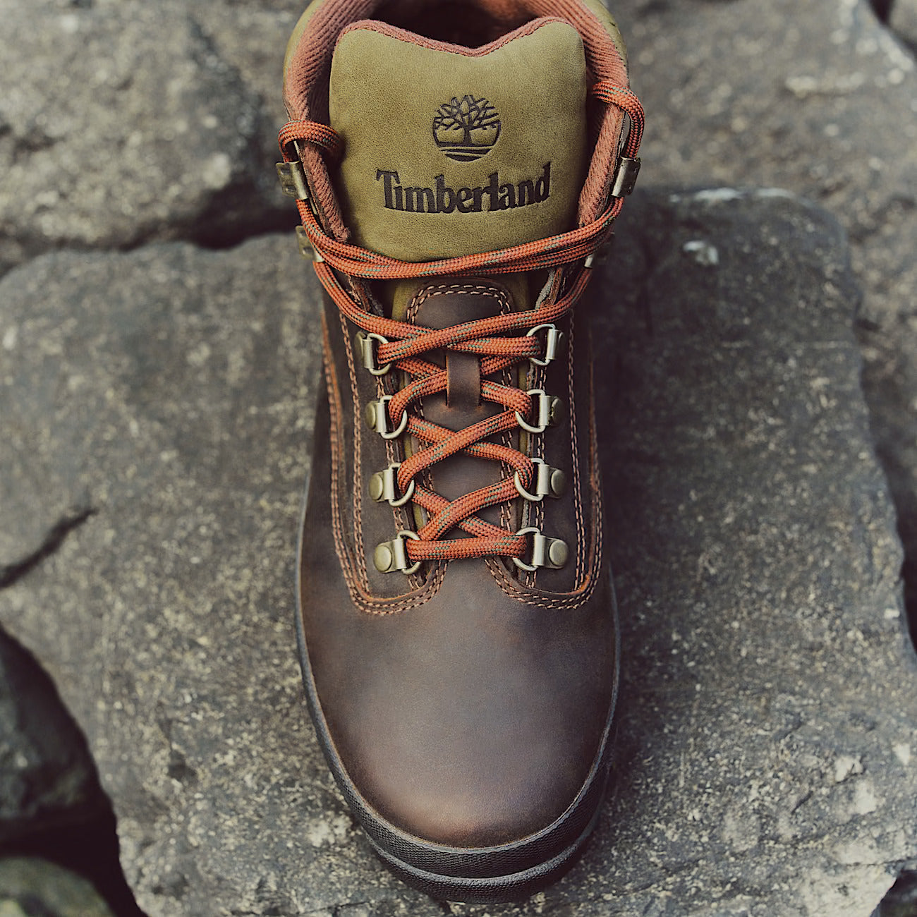 Bota Homem Timberland Euro Hiker Castanho Timberland 
