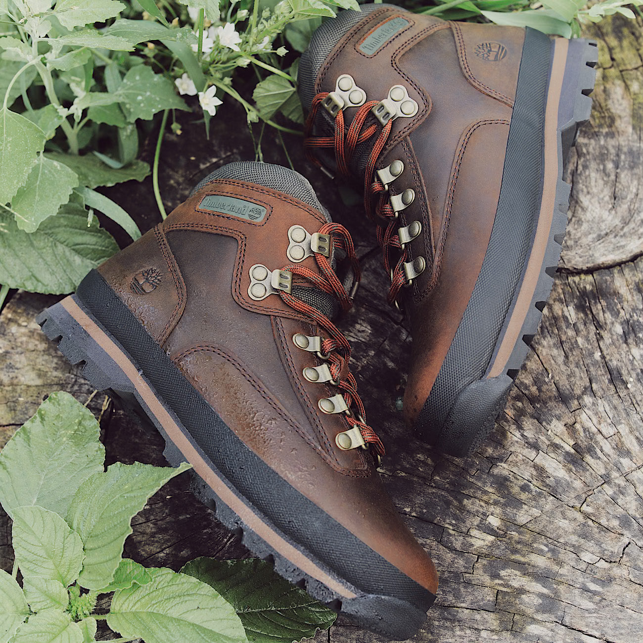 Bota Mulher Timberland Euro Hiker Castanha Timberland 