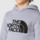 Camisola The North Face Drew Peak Cardada J Cinza