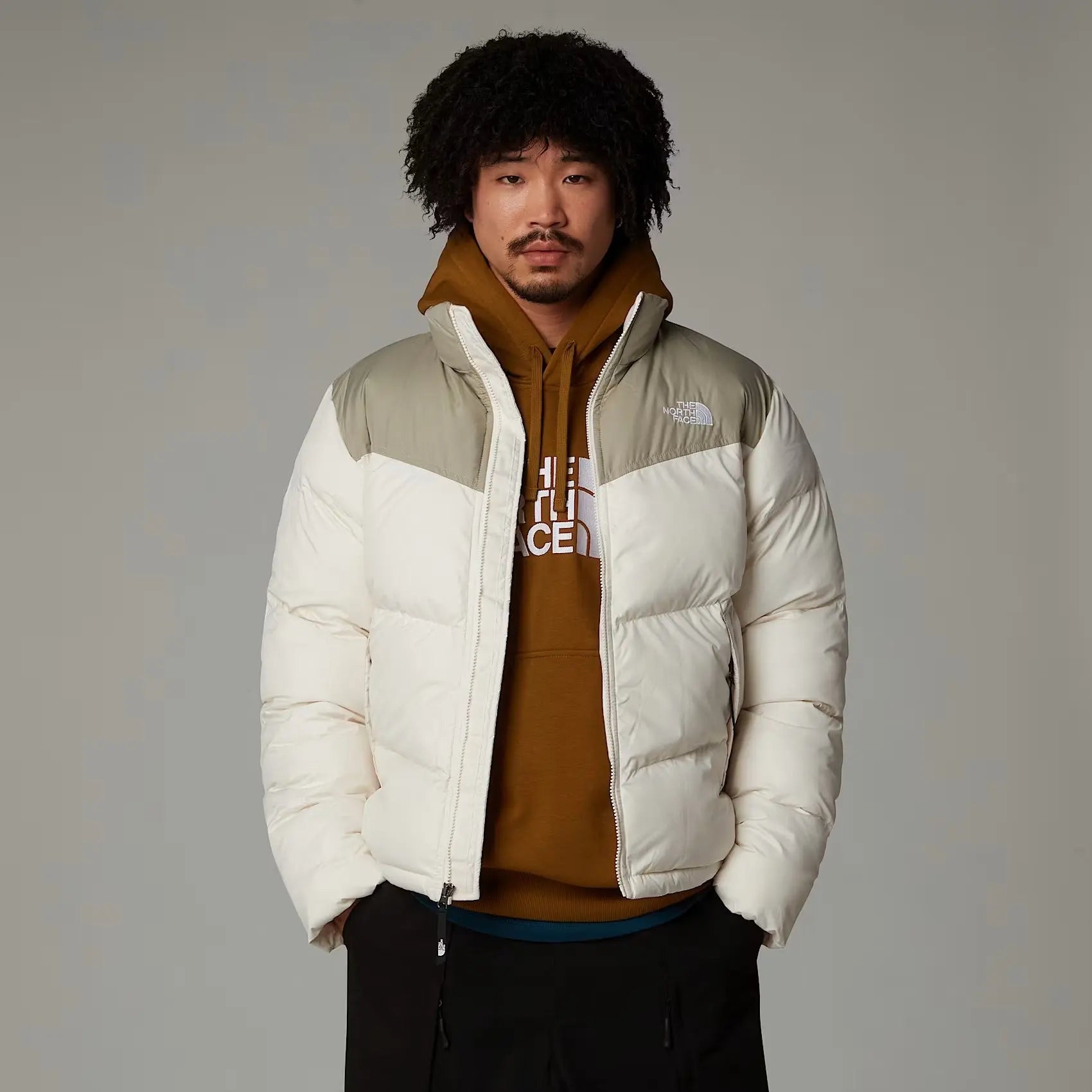 Casaco The North Face Saikuru Homem Bege/Verde