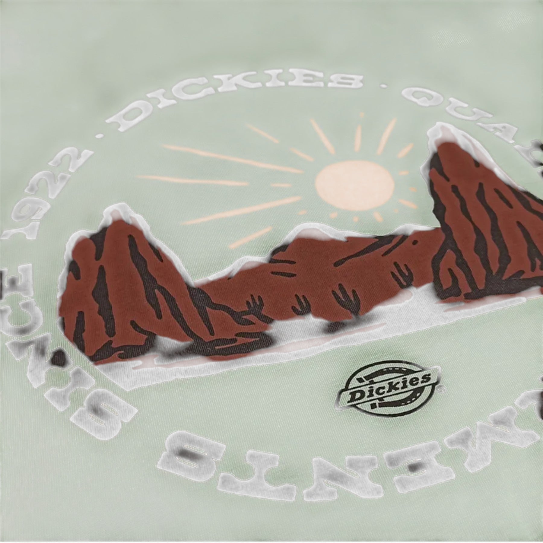 Dickies T-Shirt Outdoor Verde Dickies 