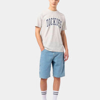 Calções de Ganga Dickies Vintage Garyville