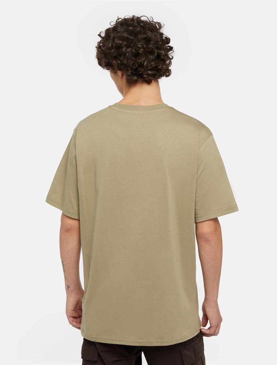 Dickies Mapleton T-Shirt Verde Dickies