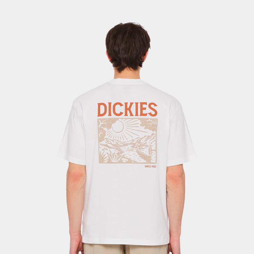 Dickies T-Shirt Patrick Springs Branca DK0A4YR7WHX