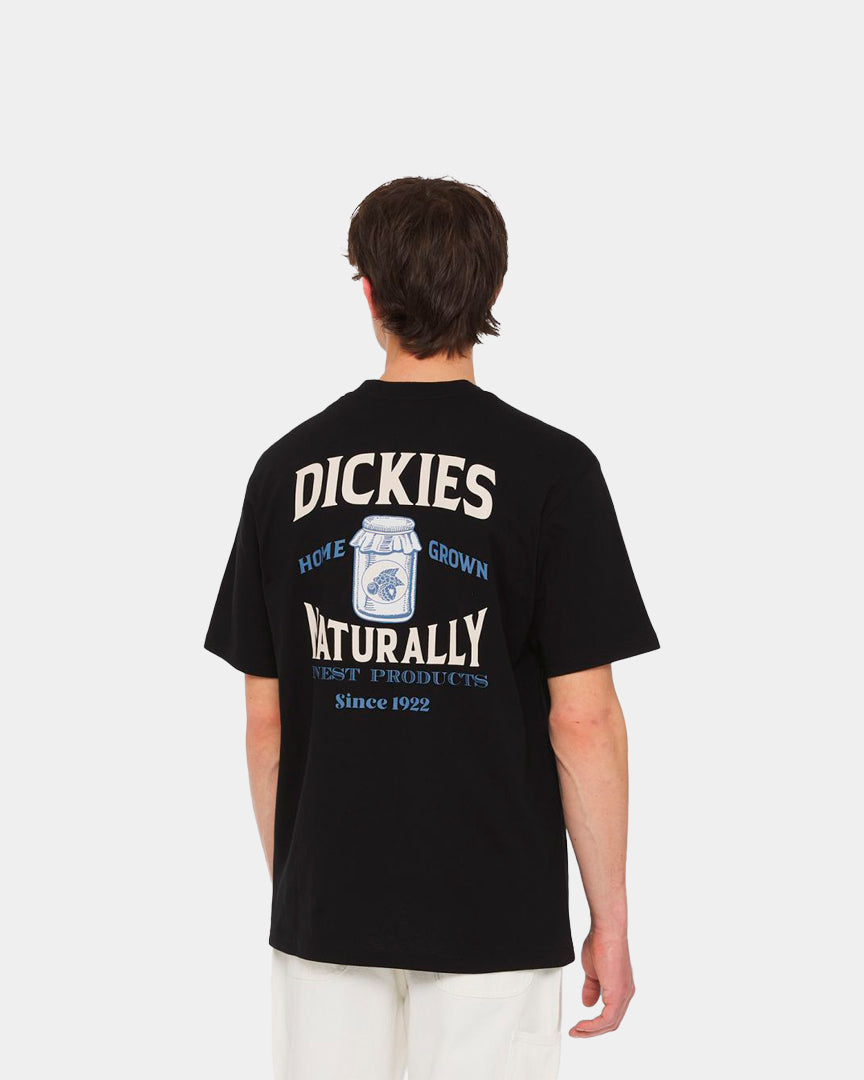 Dickies T-Shirt Elliston Preta DK0A4YRMBLK1