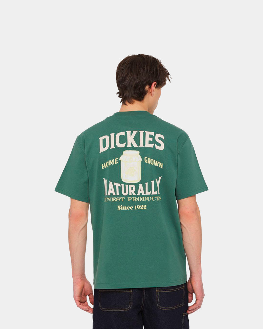 Dickies T-Shirt Elliston Verde DK0A4YRMH151
