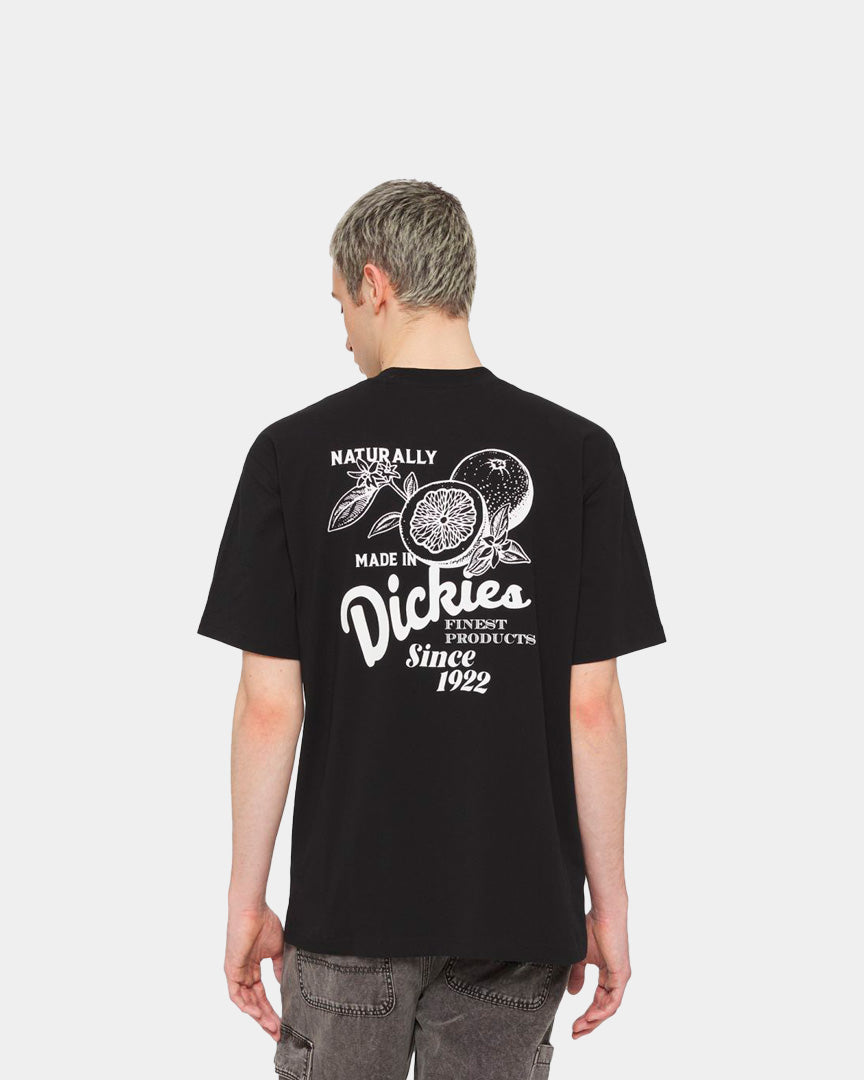 Dickies Raven T-Shirt Preta DK0A4YYMBLK1