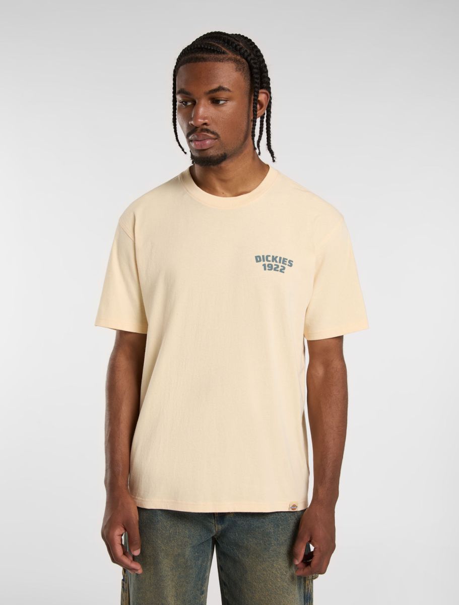 Dickies T-Shirt Mechanic Laranja Dickies 