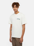 Dickies T-Shirt Builder Branca Dickies