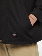 Dickies Blusão Plains Preto Dickies